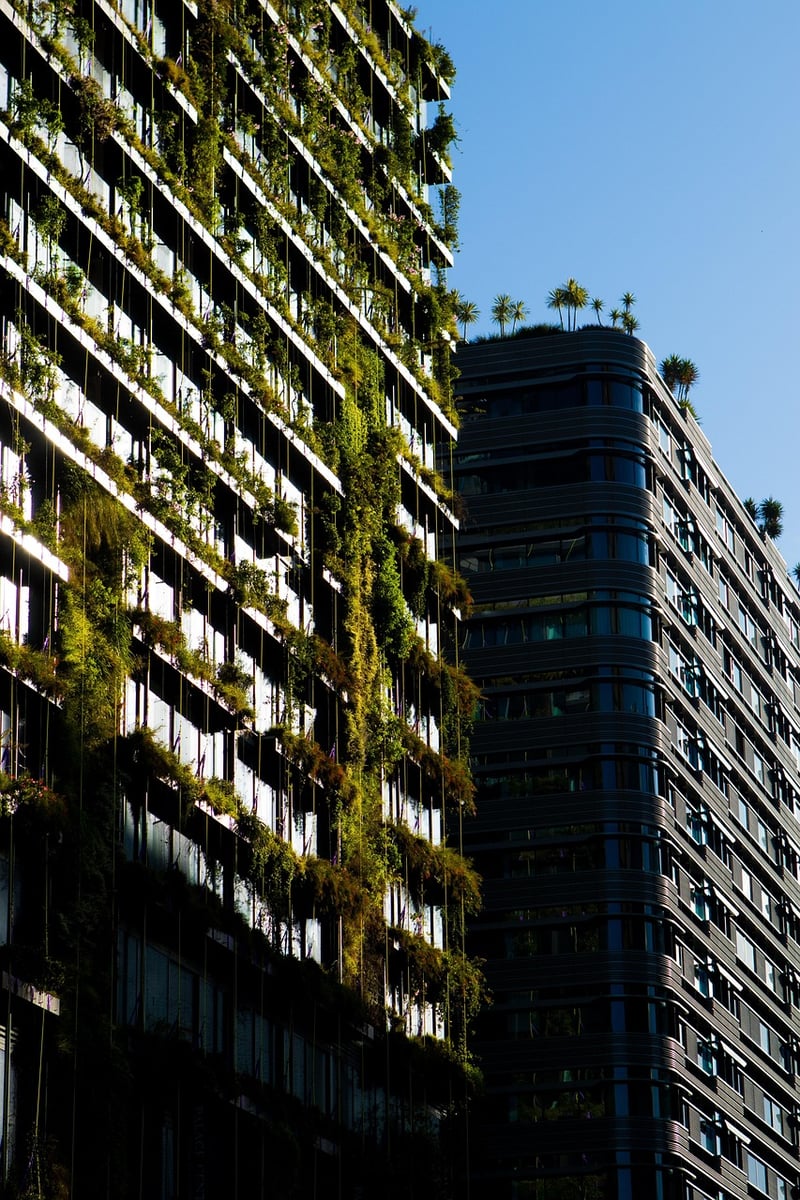 Sustainable Garden Projects
